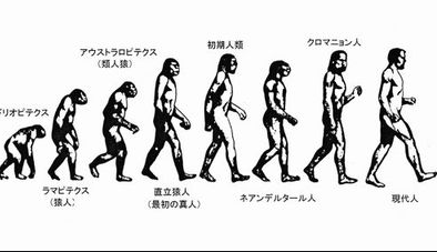 審議 ダーウィン 人間は猿から進化した これ えび速